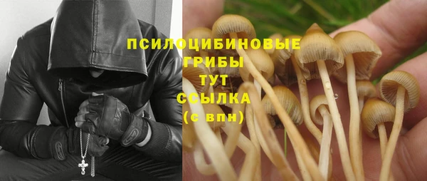 jwh Беломорск