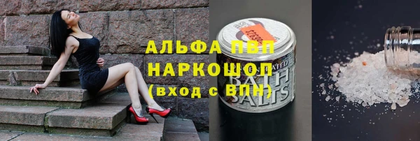 бошки Белокуриха